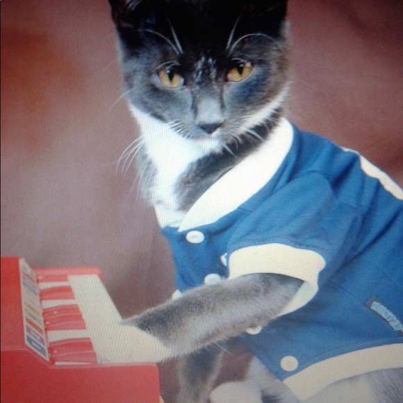 Happy poshing ❤️ - Picture 10 of 16